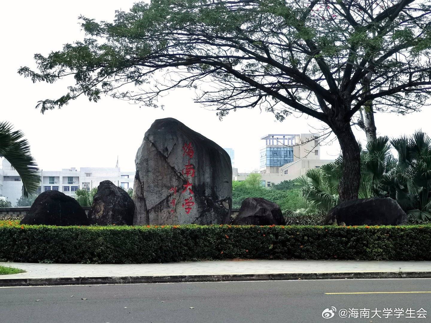 包含青训科技创新项目在全国范围内逐步推广，培养未来“国士”的词条