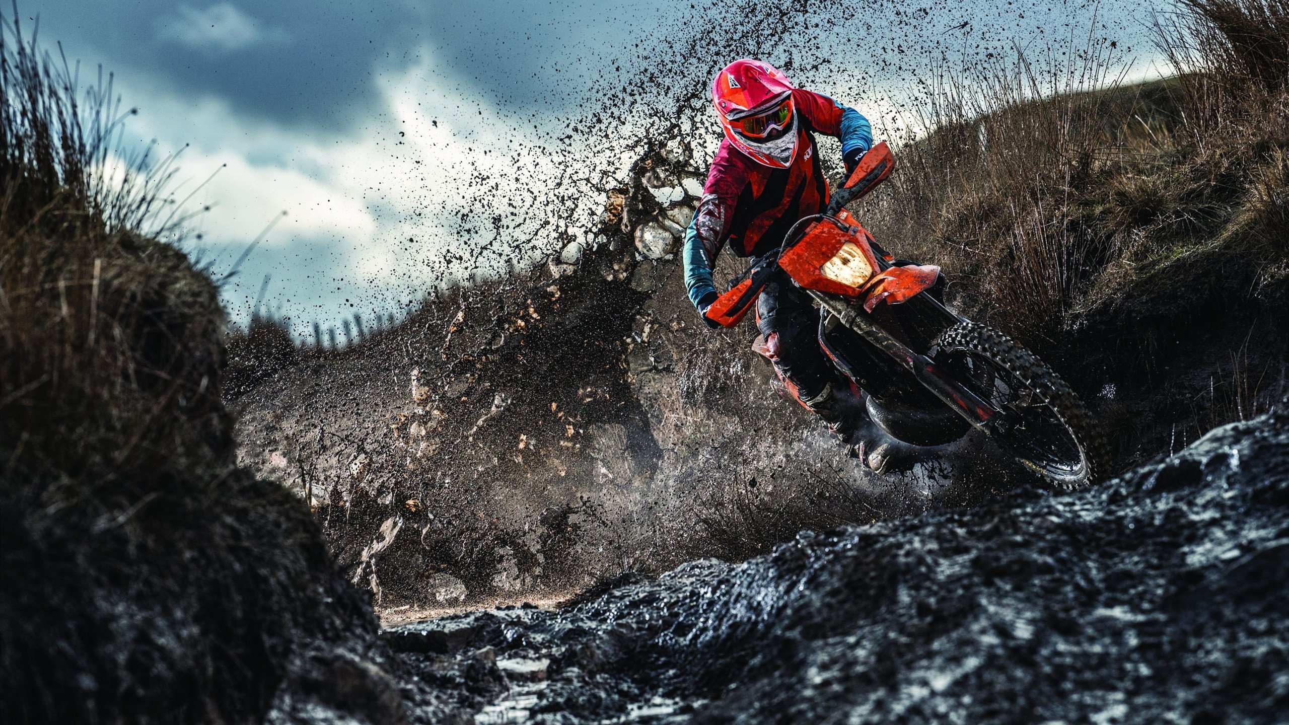 王嘉男强势晋级跳远大奖赛,王嘉男跳远运用的是什么技术