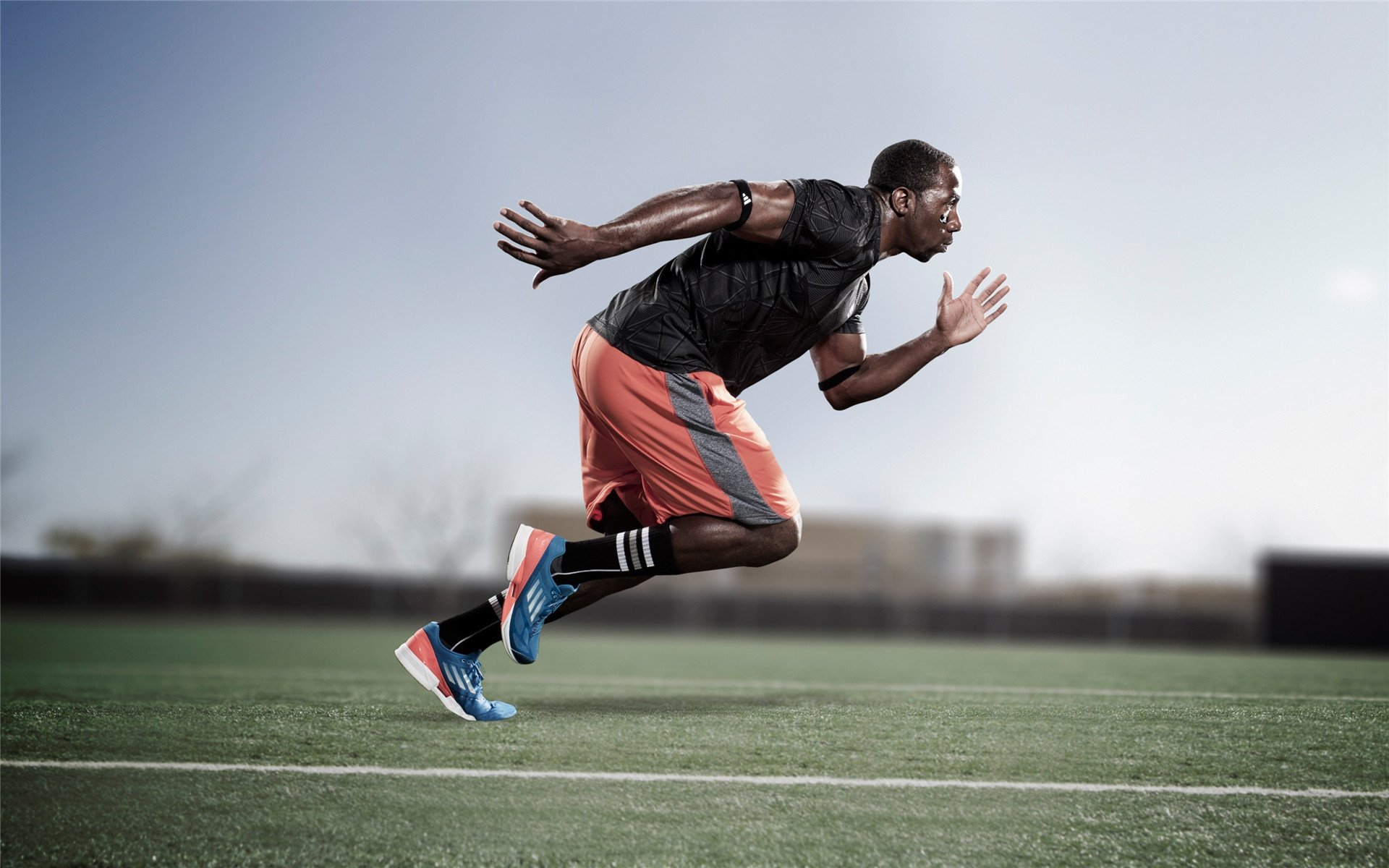 伊朗马术协会授予马尔科·阿尔瓦雷斯“年度最佳马匹护理员”称号。